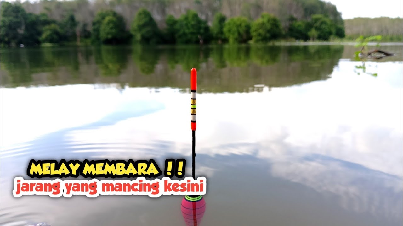 BELUM TERJAMAH PEMANCING LAIN‼️tarikan ikanya ganas, mancing nila nyobok di waduk riam kanan