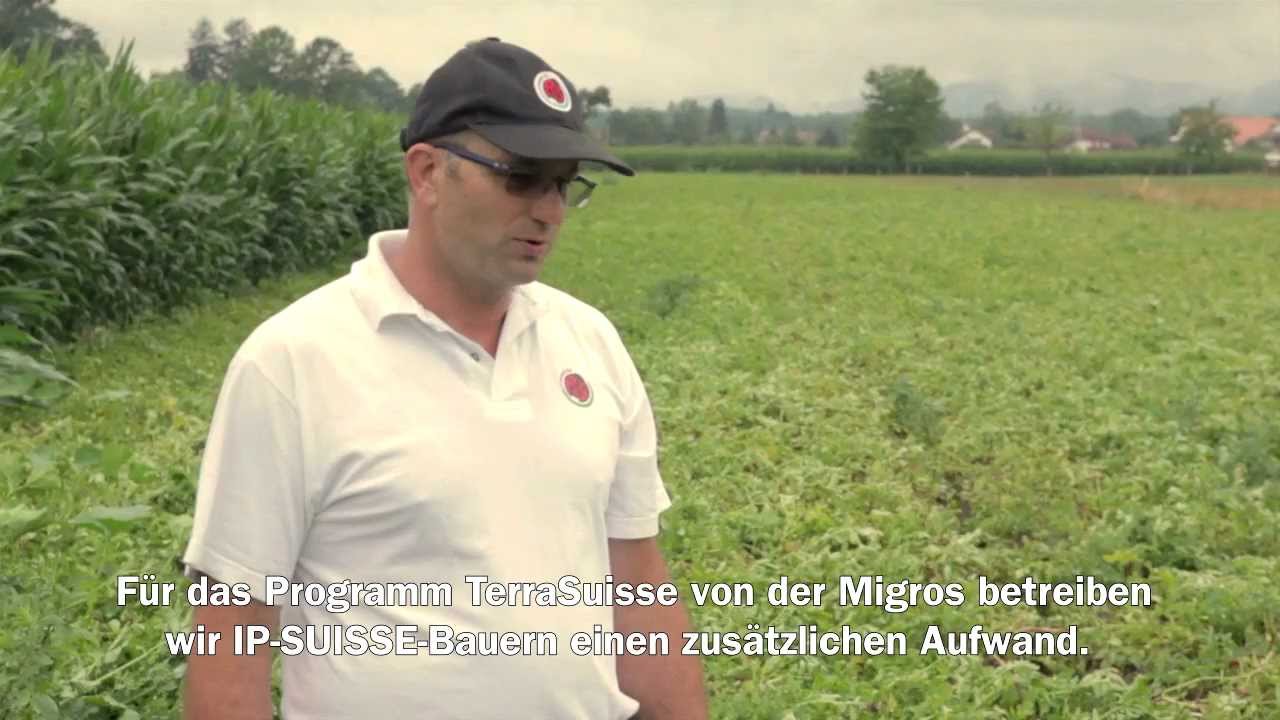 Migros Interview: TerraSuisse Kartoffelanbau
