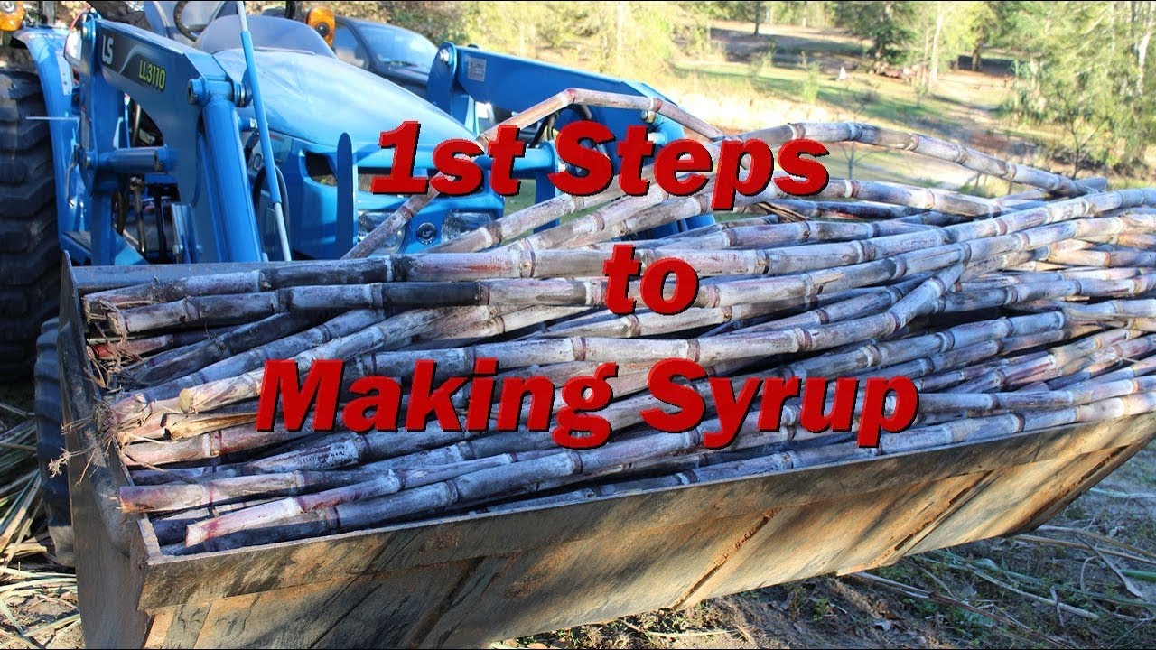 Sugar Cane // 1st Steps to Making Syrup