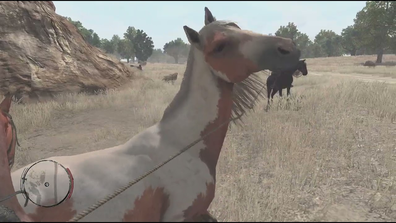 Red Dead Redemption_20260116174739