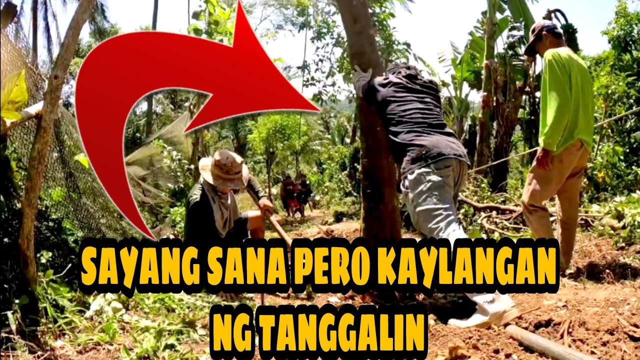 ANG HABA NG PREPARASYON PARA SA PAG BUHOS | KAUTOL TV