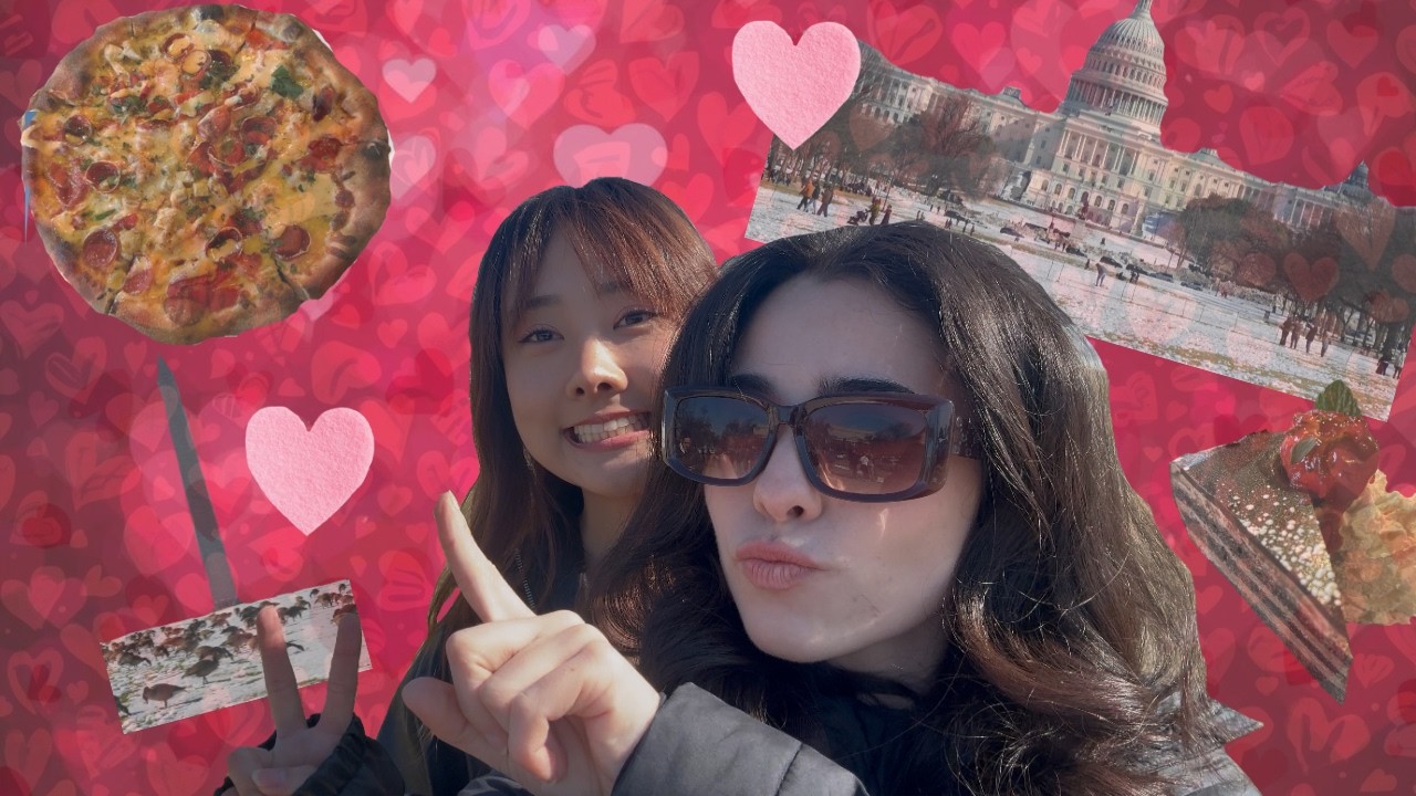 Valentine's Vlog
