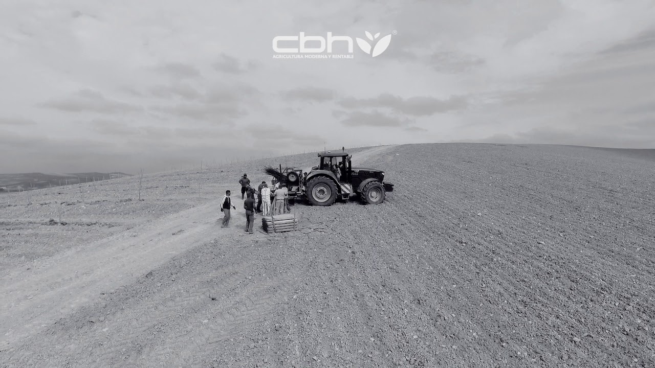 🚜Plantando Almendros con maquina GPS 🌳 Transformaci&oacute;n de finca