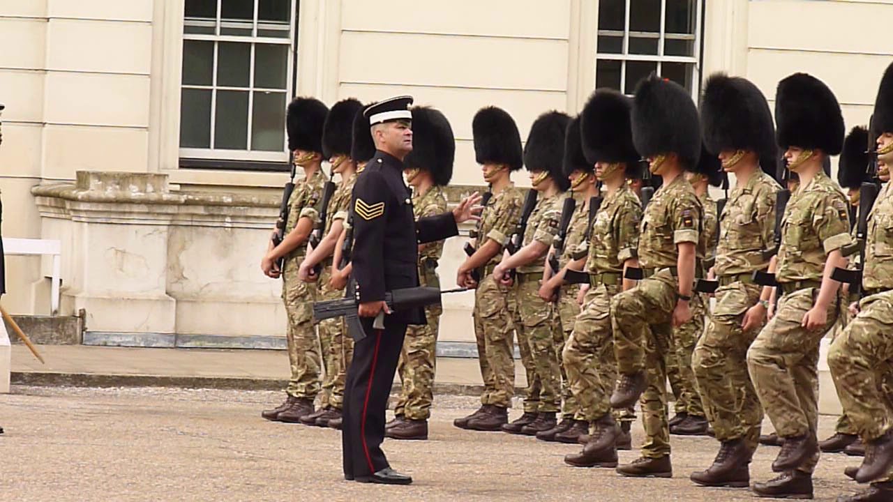 7 Company  Coldstream Guards