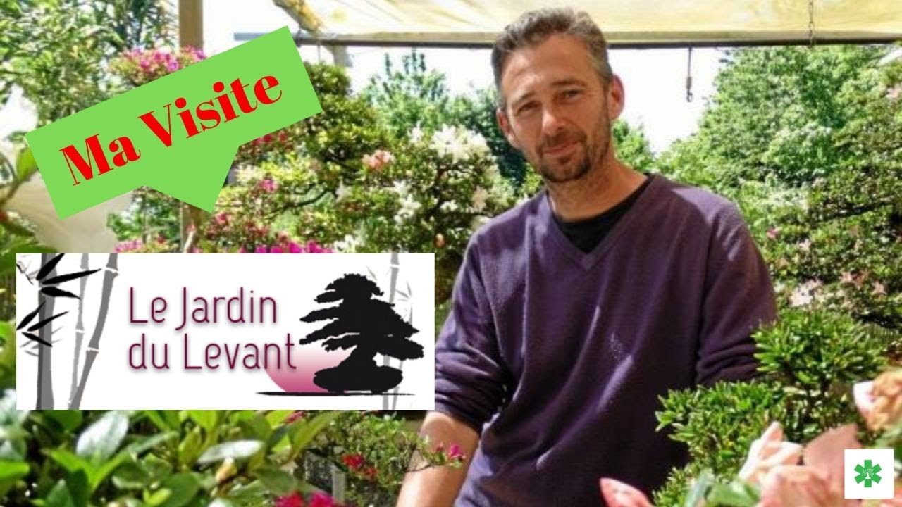 La PÉPINIÈRE bonsaï, du JARDIN du LEVANT