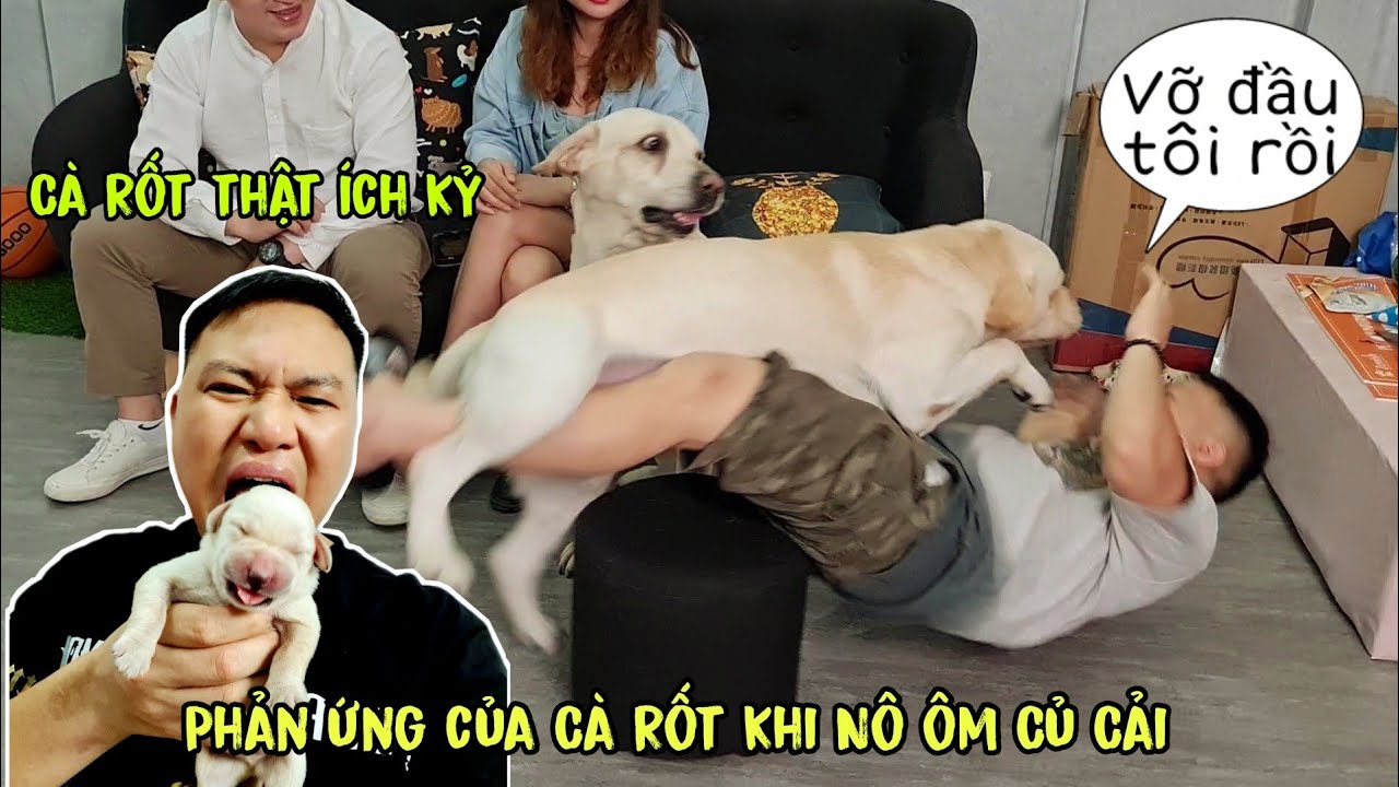 Chút Chít lớn nhanh quá - Cà Rốt là 1 chú chó ích kỷ