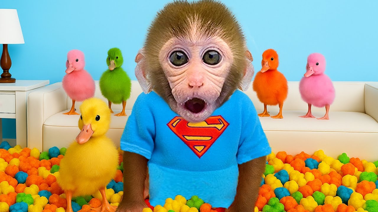 Scimmia Bon Bon e l'anatroccolo guardano i cartoni animati e mangiano caramelle colorate