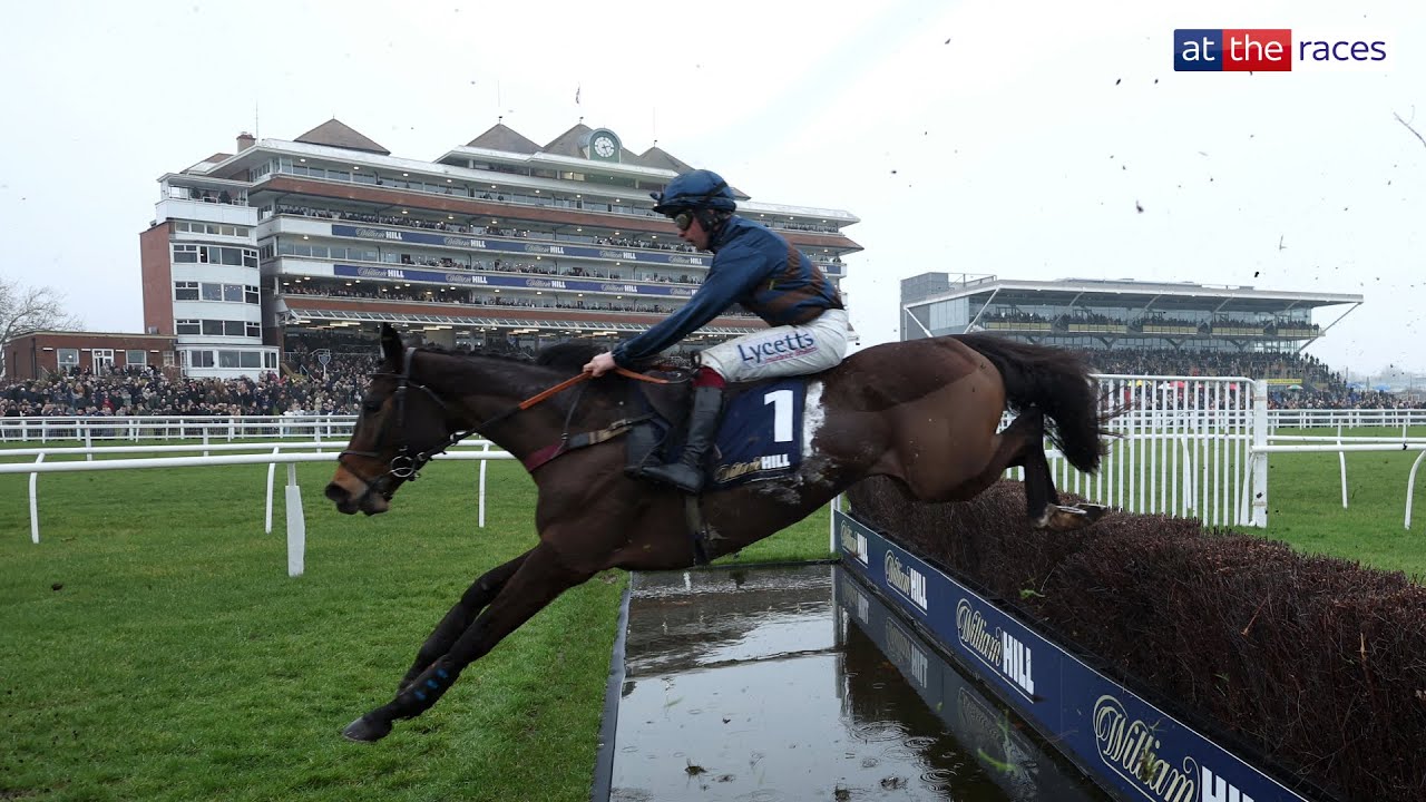 Великолепный конь! DJELO побеждает в William Hill Denman Chase!