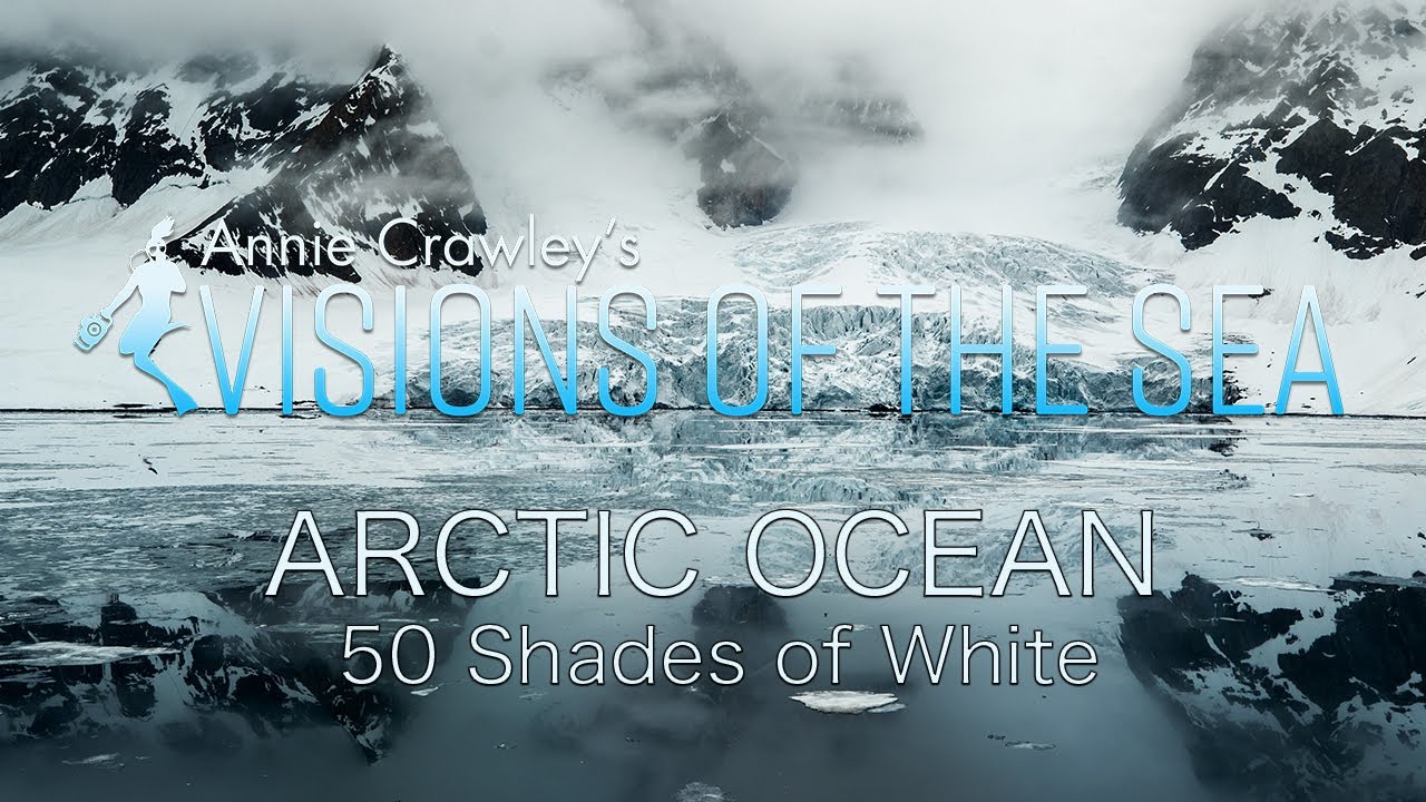 Arctic Ocean Polar Bears Walrus 50 Shades of White Visions of the Sea Relaxing Ocean 4K Videos