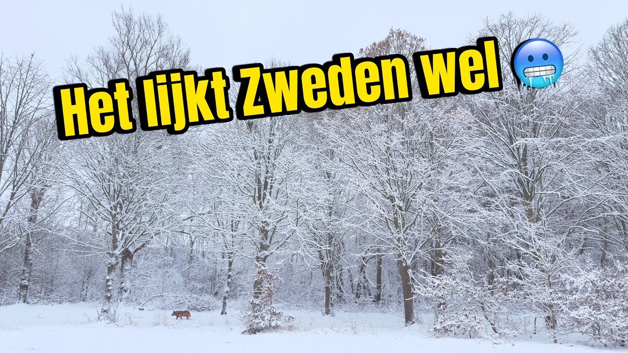 Zijn wij in Zweden of.....Vlog #193