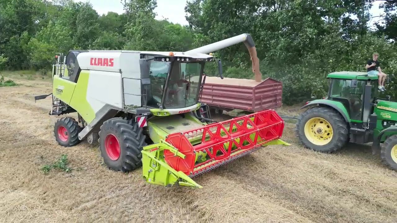  Claas Trion 520 w pszenicy 