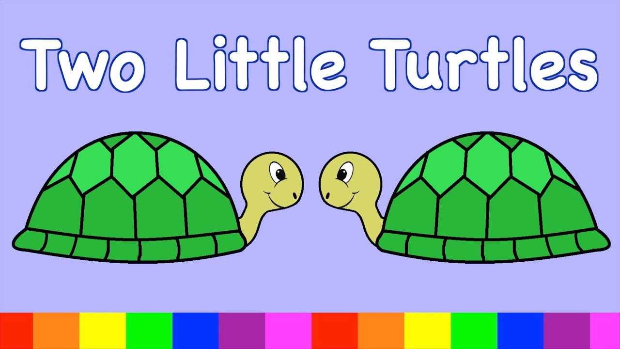 Two Little Turtles | NURSERY RHYME | RainbowRabbit | @rainbowrabbitsongs | #rainbowrabbitsongs