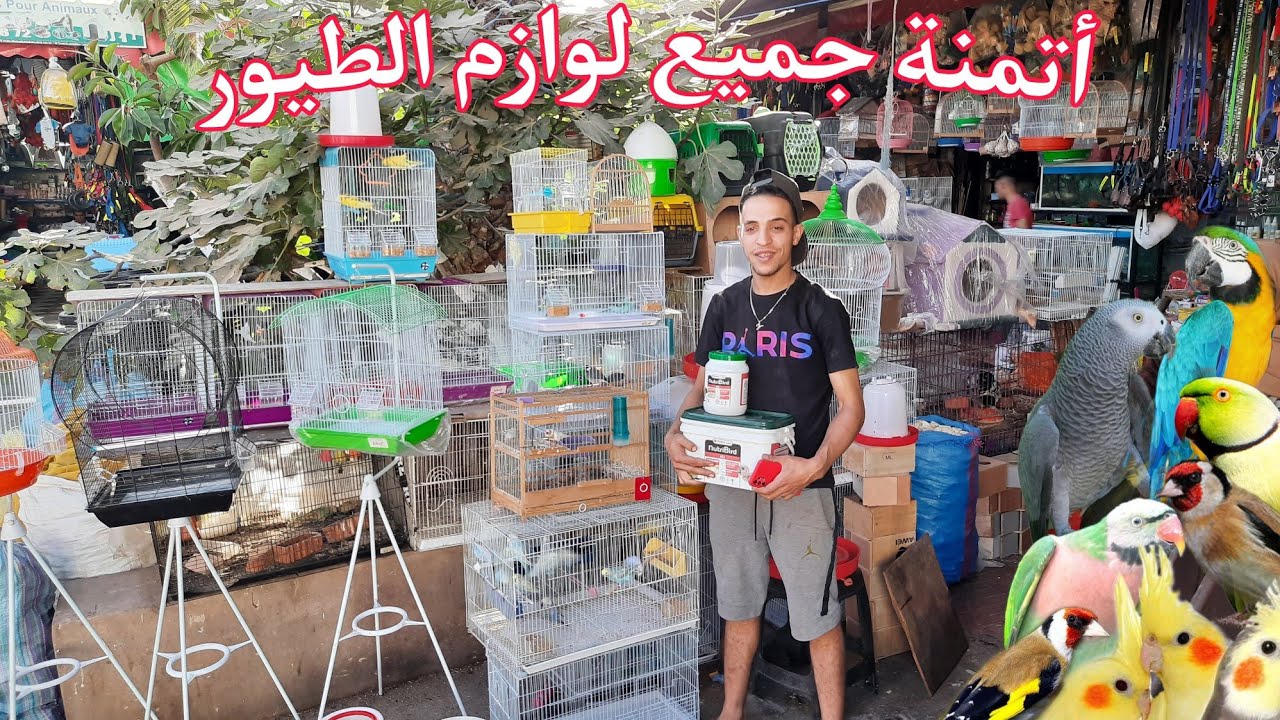 أتمنة الزوان🌾والبذور أتمنة الأقفاص جميع لوازم الطيور الدجاج الحمام عند ياسين #سوق_القريعة