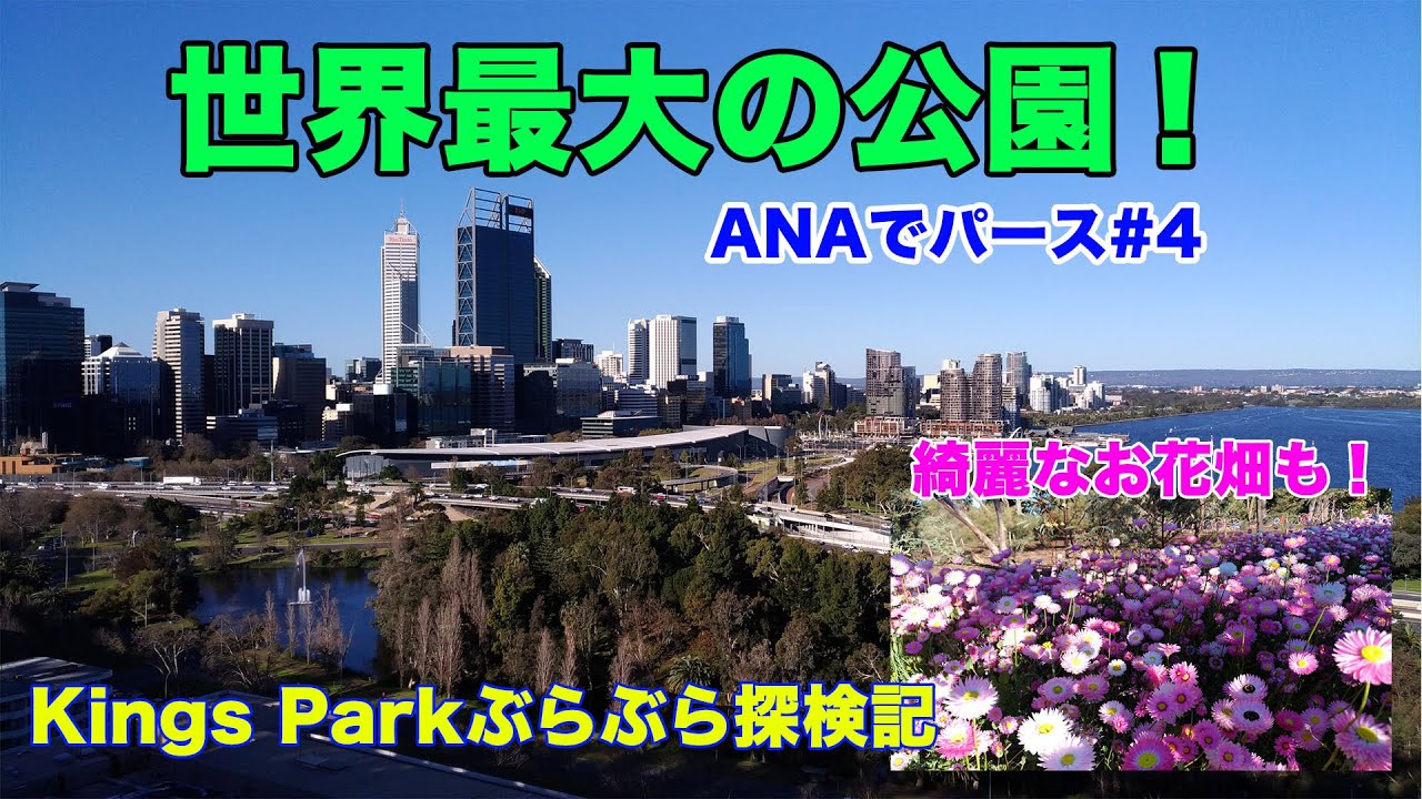 世界最大の公園、Kings Parkぶらぶら探検記 [ANAでパース #4]