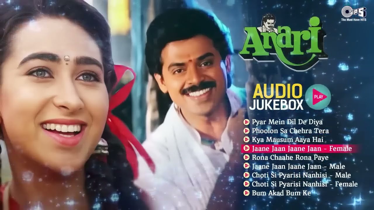 Best of Anari (1993) Songs | 90’s Romantic Hits | Kumar Sanu & Alka Yagnik | Audio Jukebox