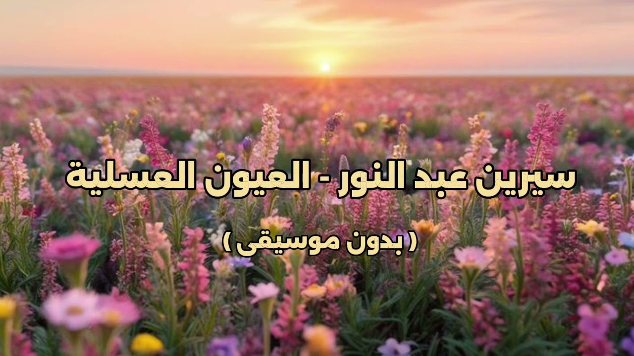 سيرين عبد النور - العيون العسلية ( بدون موسيقى )