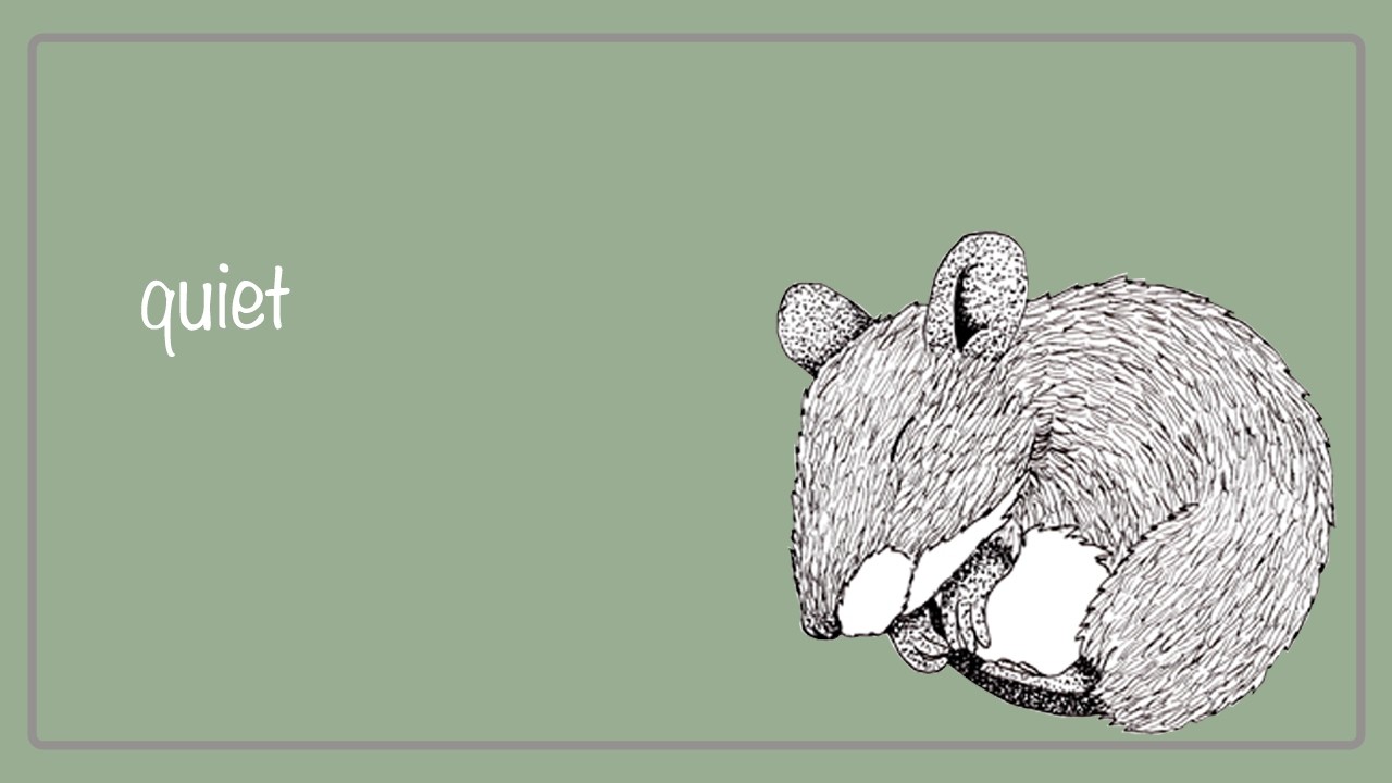 Sleeping Mouse Cozy Drawing