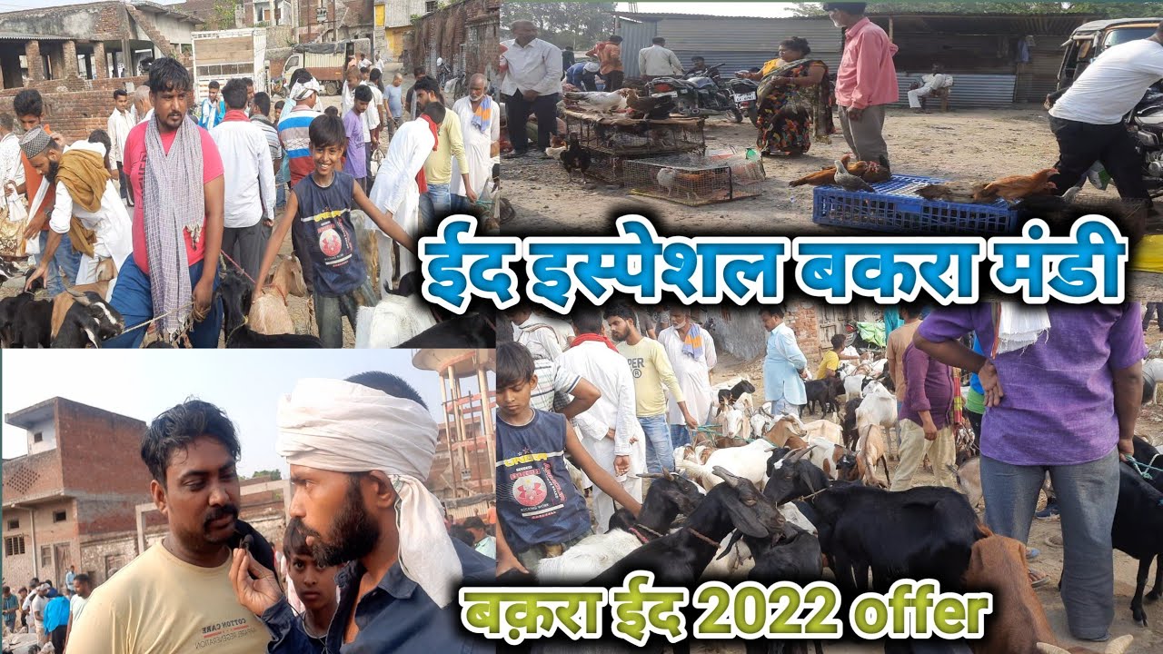 चौरी चौरा बकरा मंडी/chauri chaura bakra market/देवरिया गोरखपुर#youtubevideo top/Bkraeid special| #77