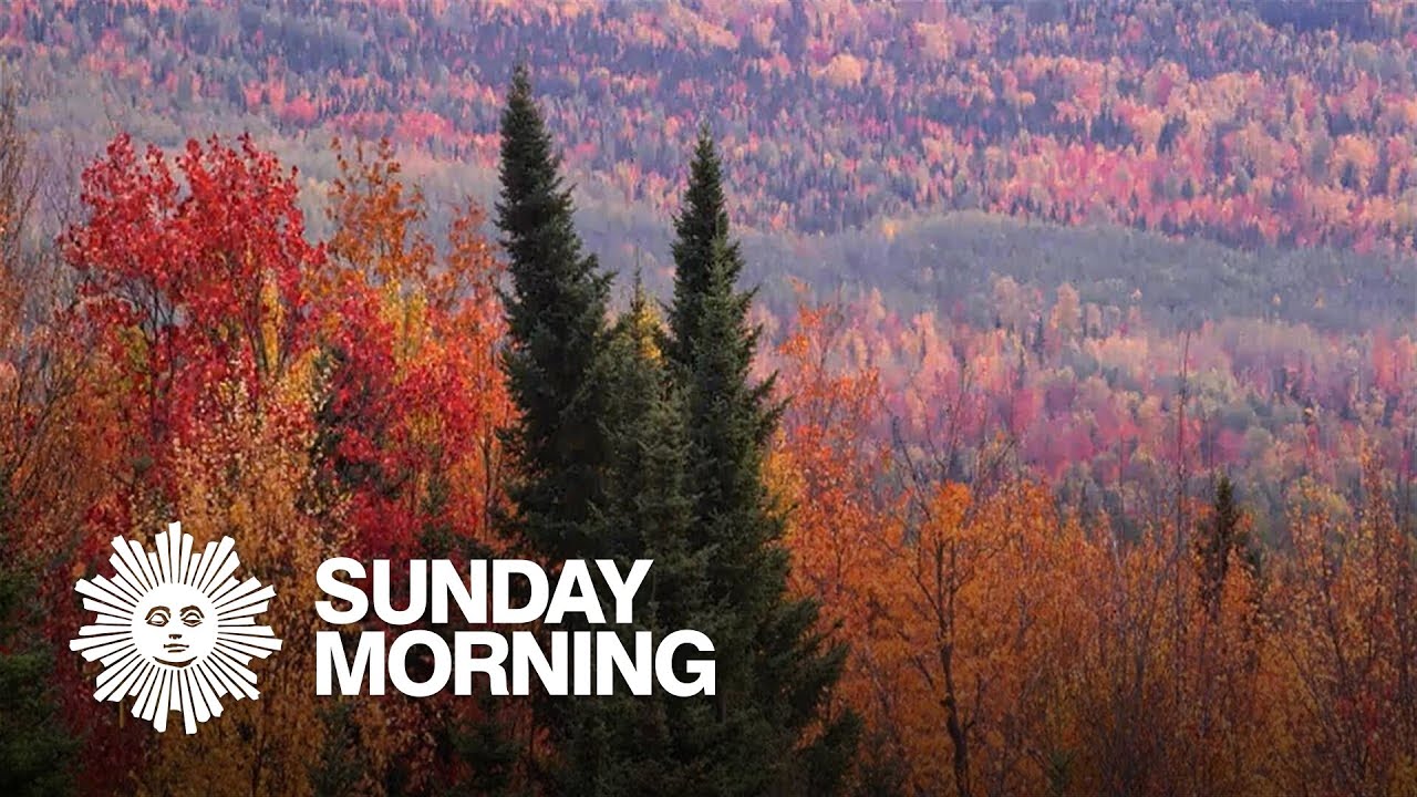 Nature: Fall colors in Maine