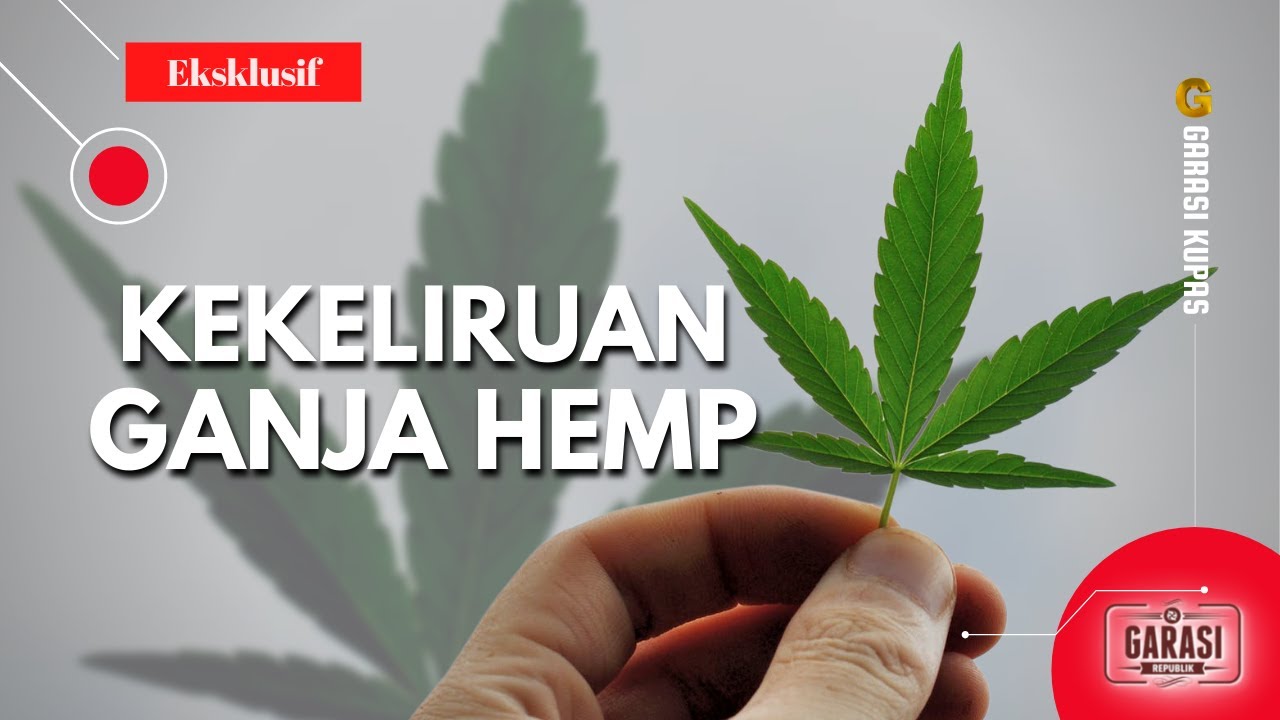 KEKELIRUAN GANJA HEMP