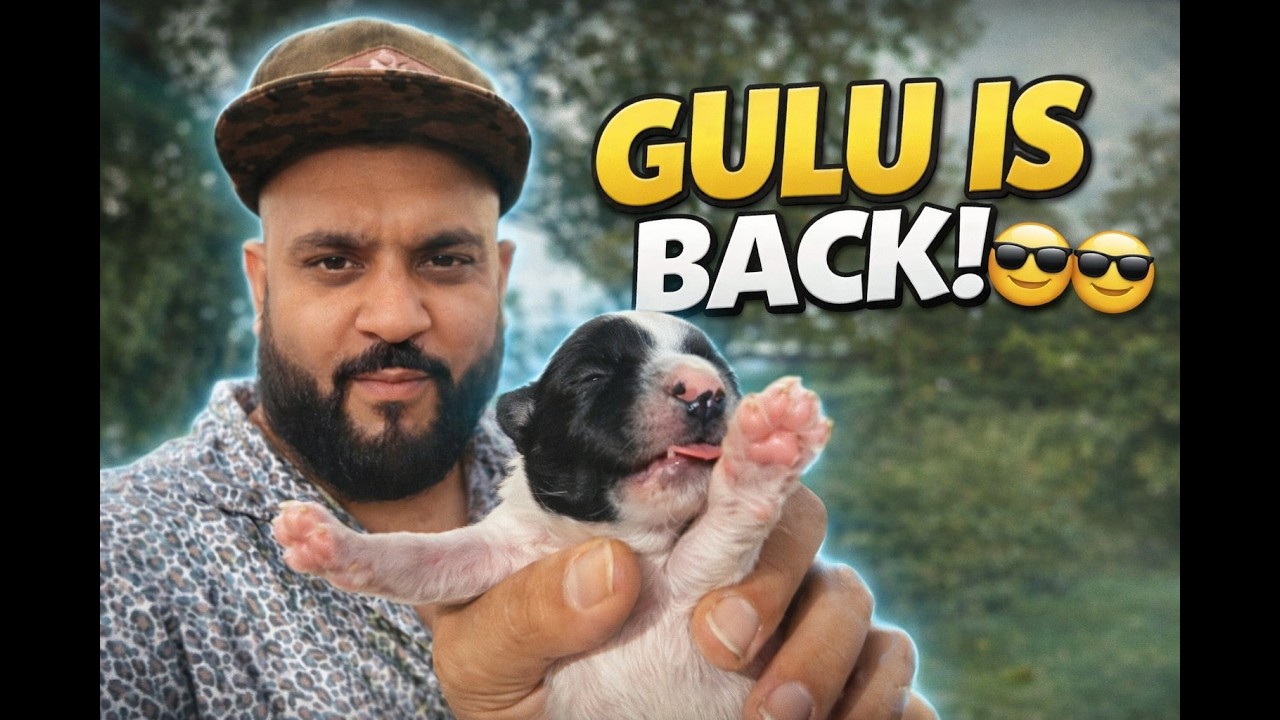 Gulu back 😎😎😎