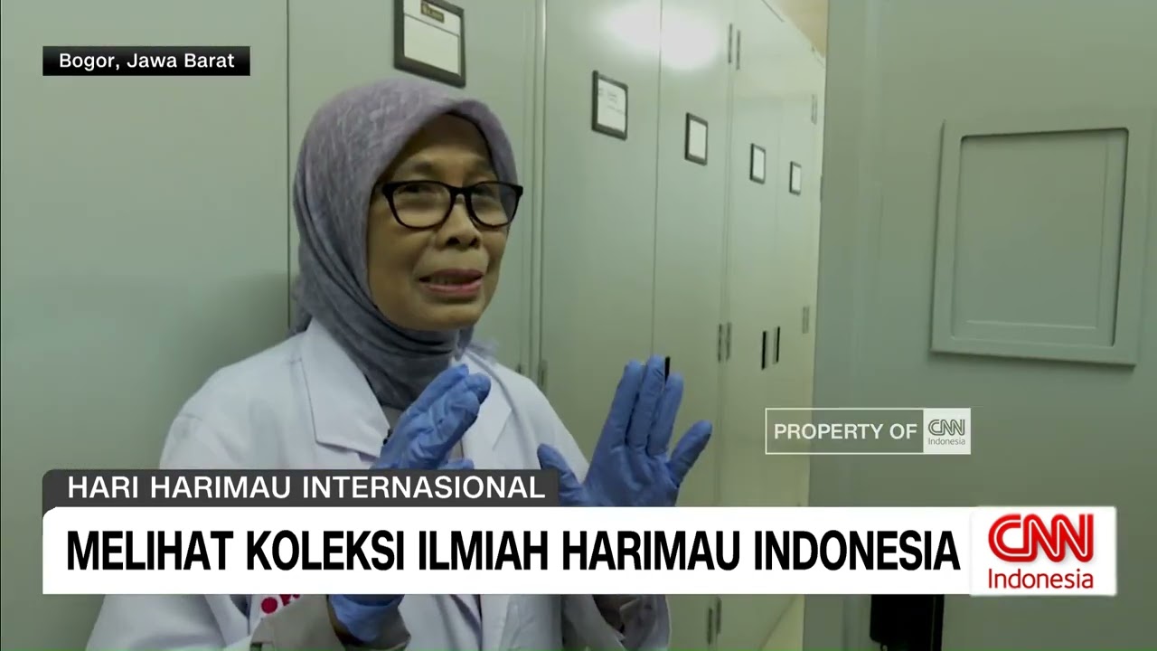 Melihat Koleksi Ilmiah Harimau Indonesia
