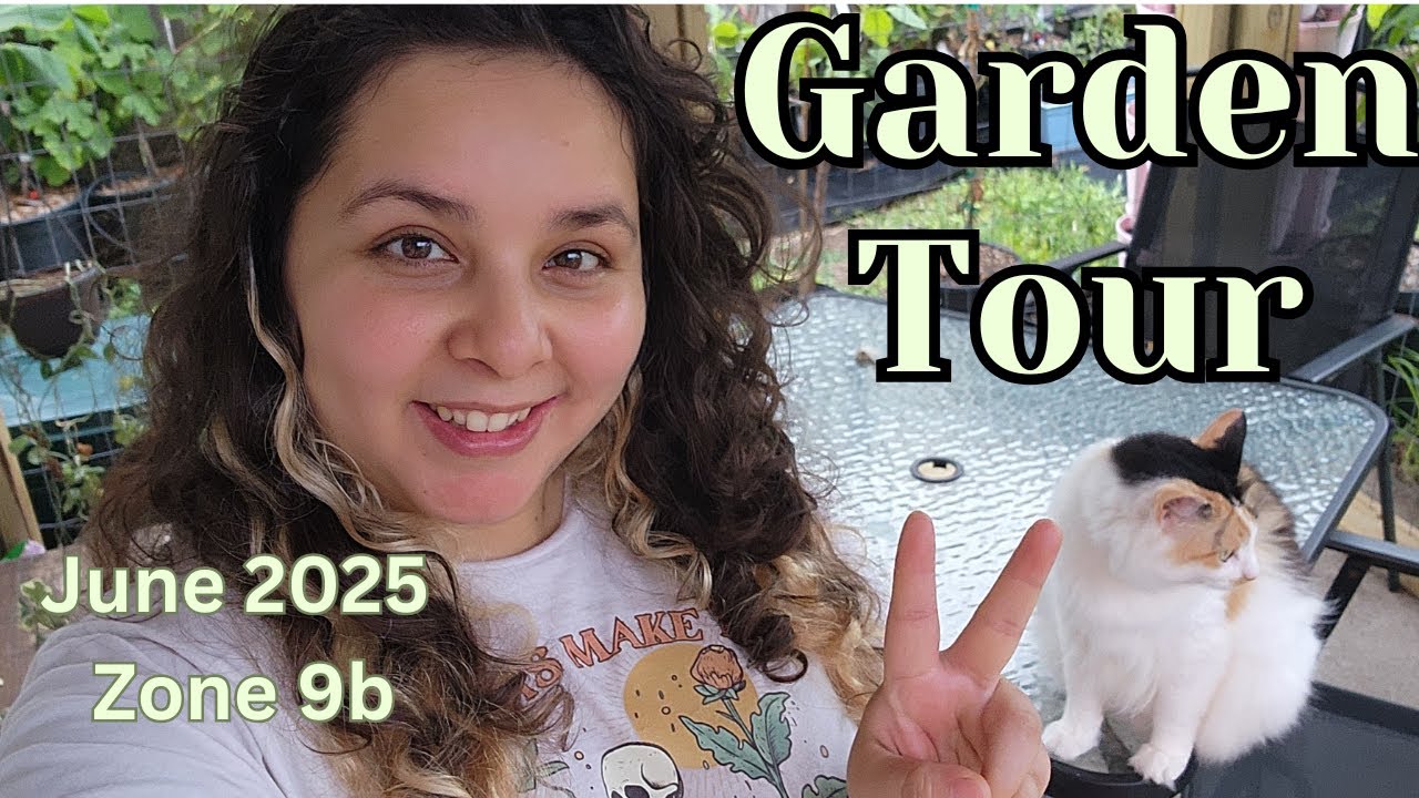 Summer Garden Tour June 2025 | See all my Container Fruit Trees Backyard Orchard Food Forest Zone 9b