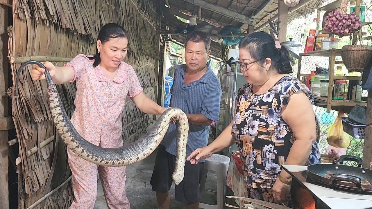 Đang Trên Đường Ra Vườn Quơ Củi Bất Ngờ Phát Hiện Con R,ắ,n Khổng Lồ Nằm Kế Bụi Tre | BQCM & Family 