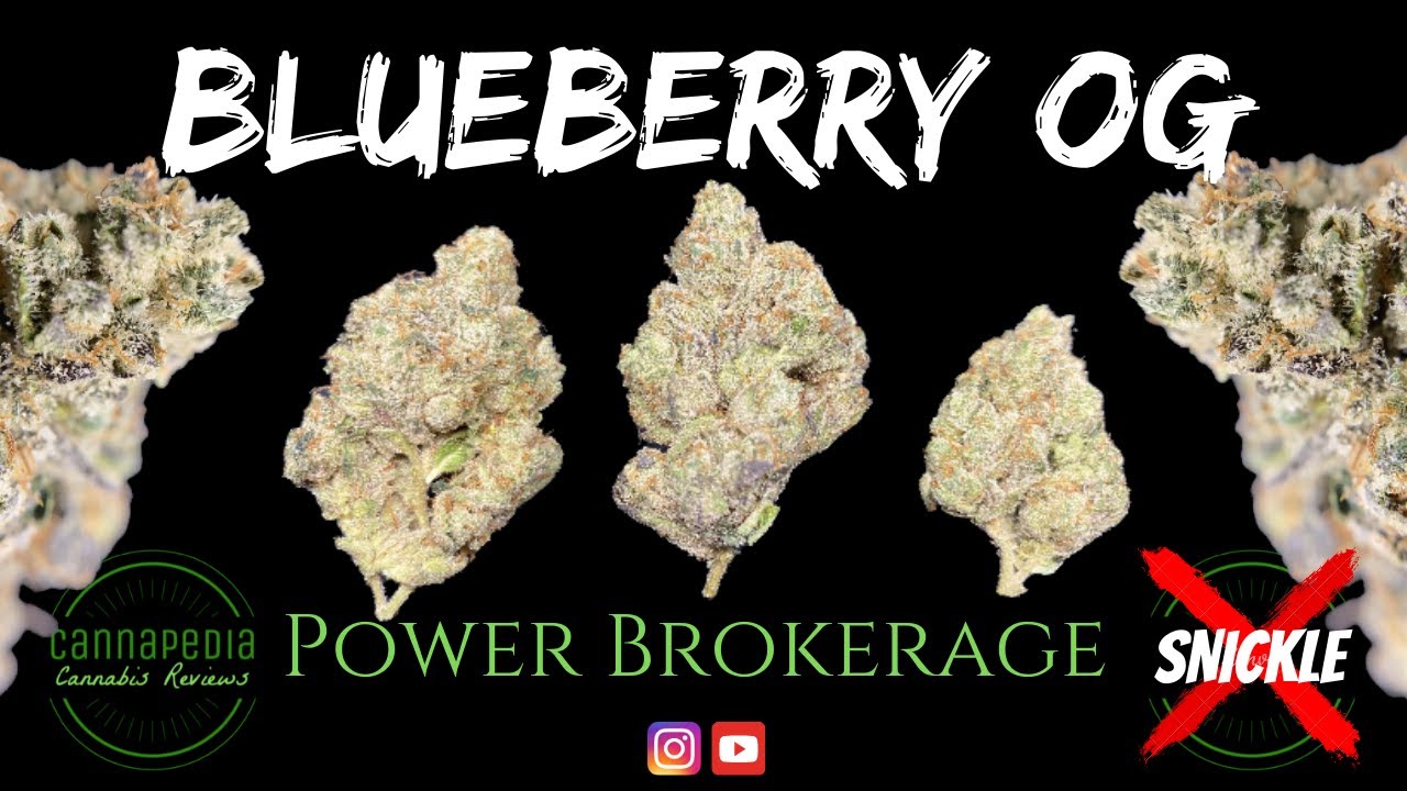 Blueberry OG Strain Review - Power Brokerage - Cannapedia