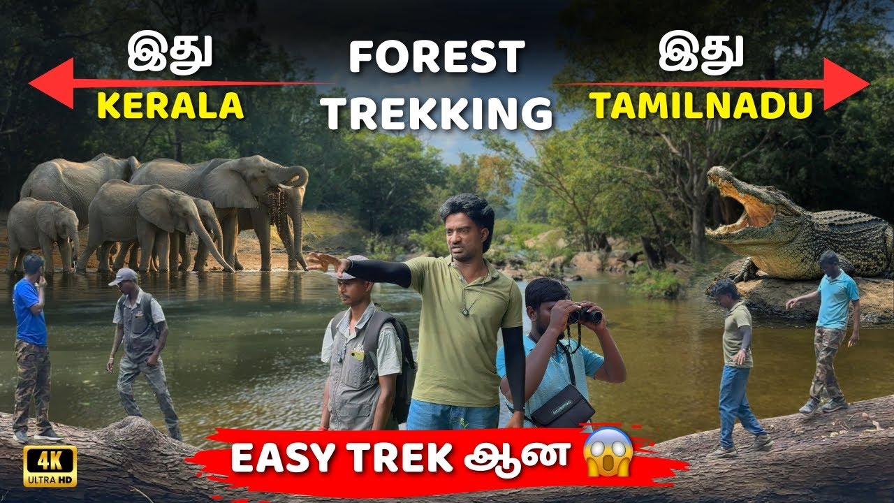 Chinnar காட்டில் நாங்கள் கண்ட அதிர்ச்சி தடங்கள் 😱| How To Book & Full Trek Guide 👍| Chinnar Forest🌲🐘