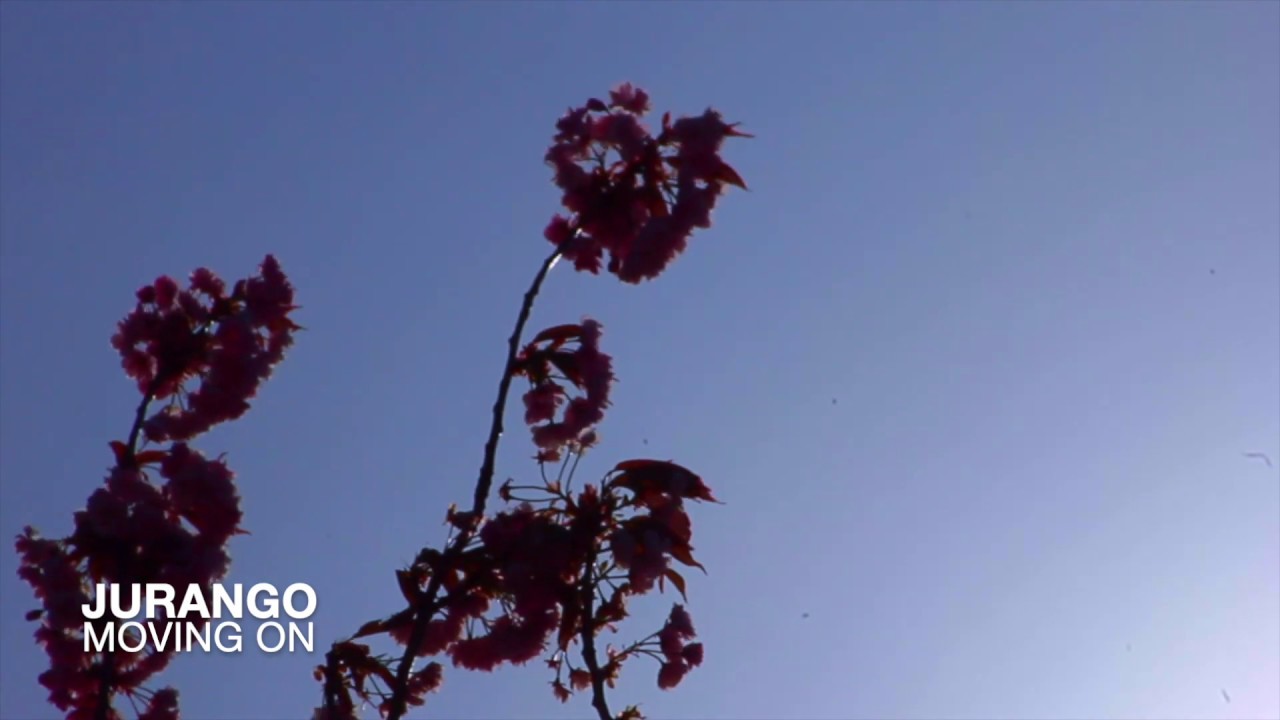 1020 Curated: By unperson | Jurango - Moving On