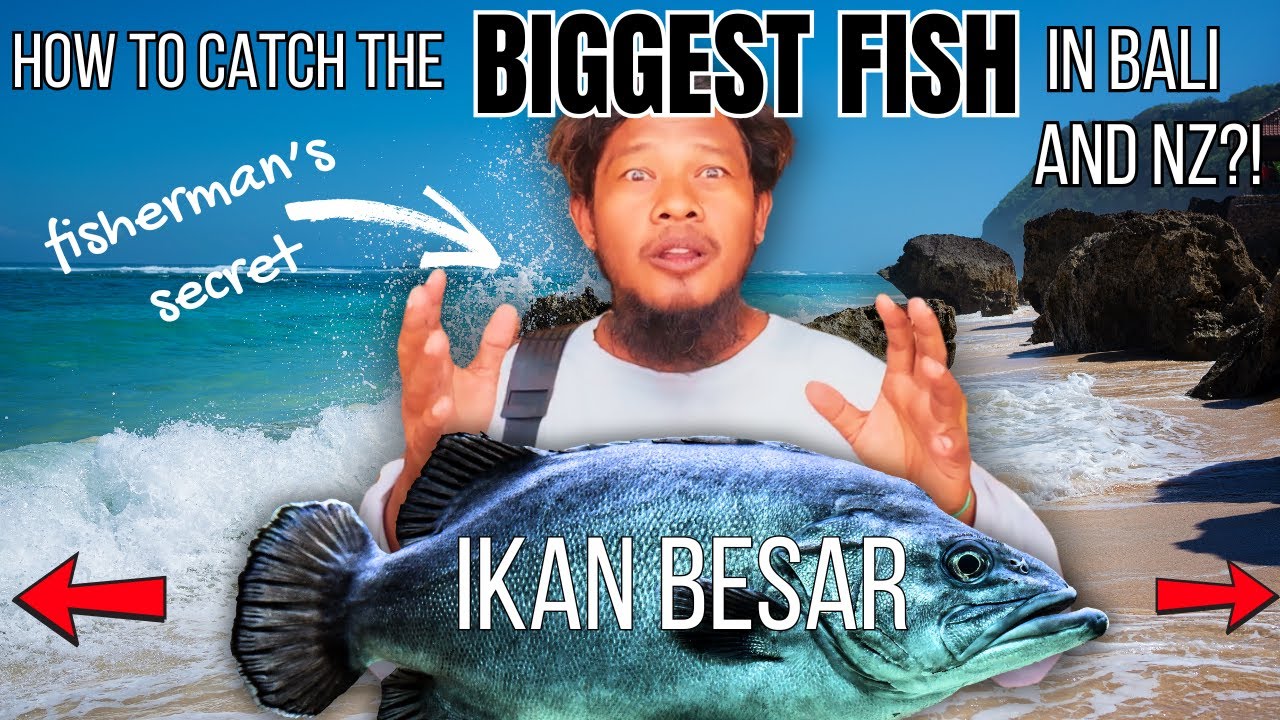 Bali Fishing Secrets | NZ Snapper Feast | Adventures with Suzie