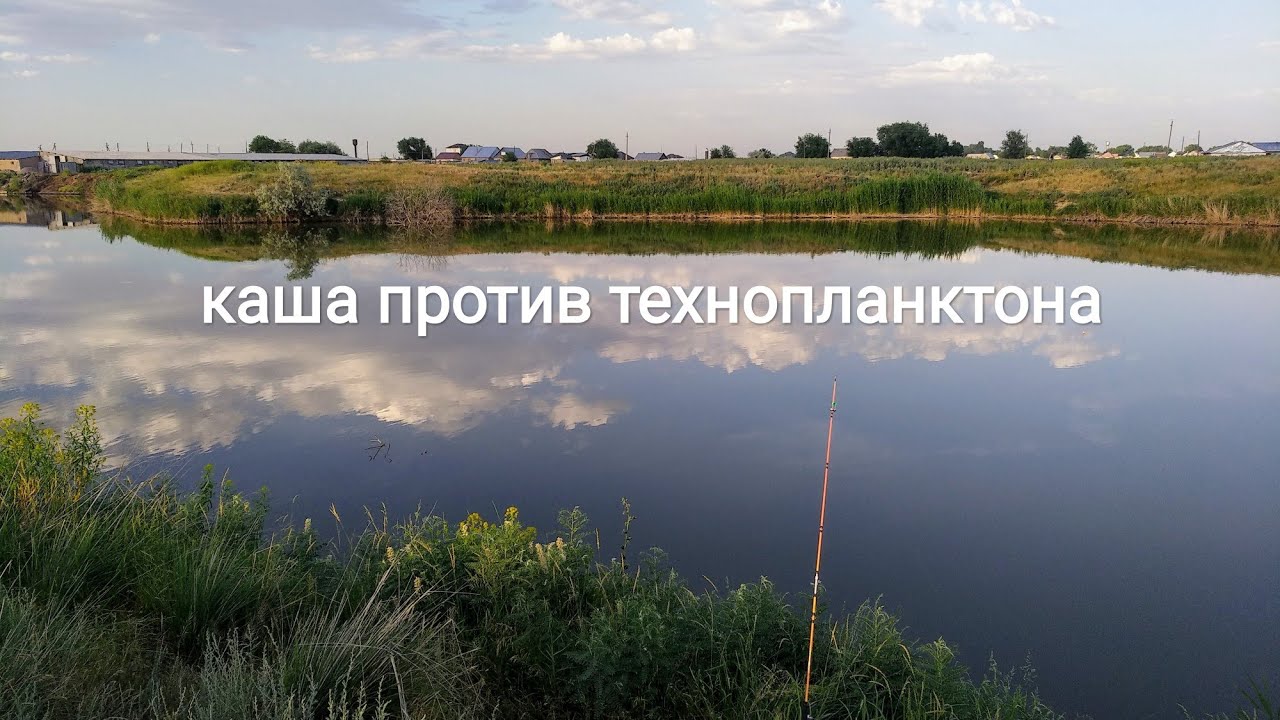 Хороша каша, но не наша. Рыбалка на толстолоба в Алматы.