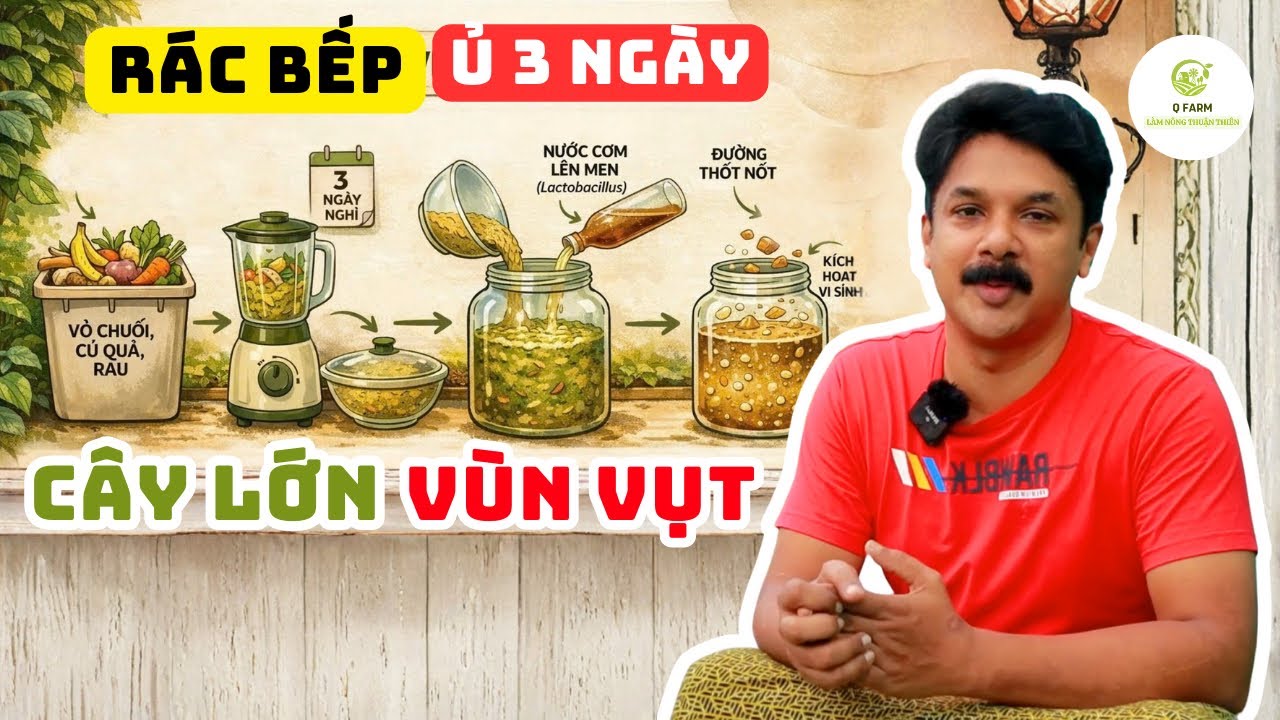 Sai Lầm Khi Bón Rác Bếp! Đây Mới Là Cách Biến Nó Thành Phân Bón Giàu Kali – Siêu Sạch!