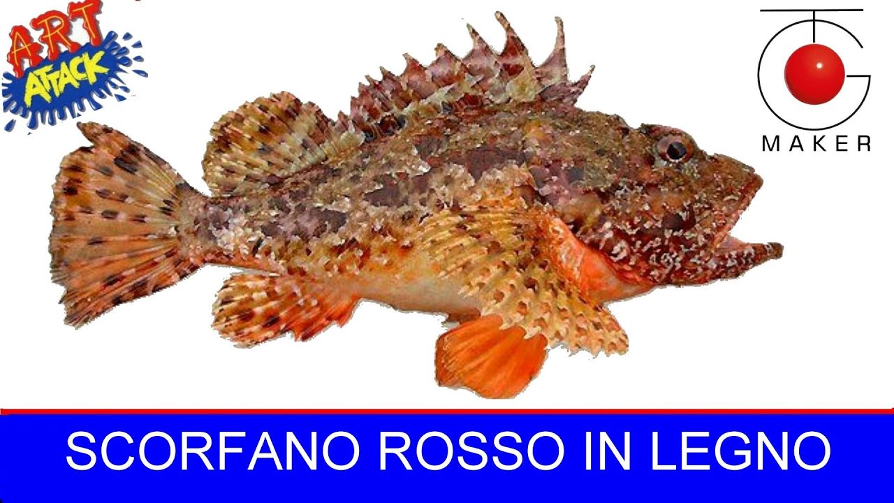 PESCI DI LEGNO  - 02 SCORFANO ROSSO wooden fish art for walls