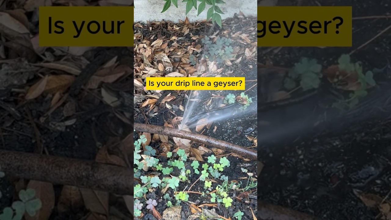 SPRINKLER SYSTEM REPAIR  // Simple Fix of Your Drip Line Irrigation with Orbit Emitter Tubing
