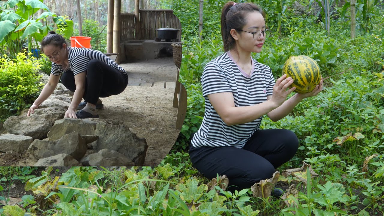 Harvest melons to sell at the market and pave the porch with stone