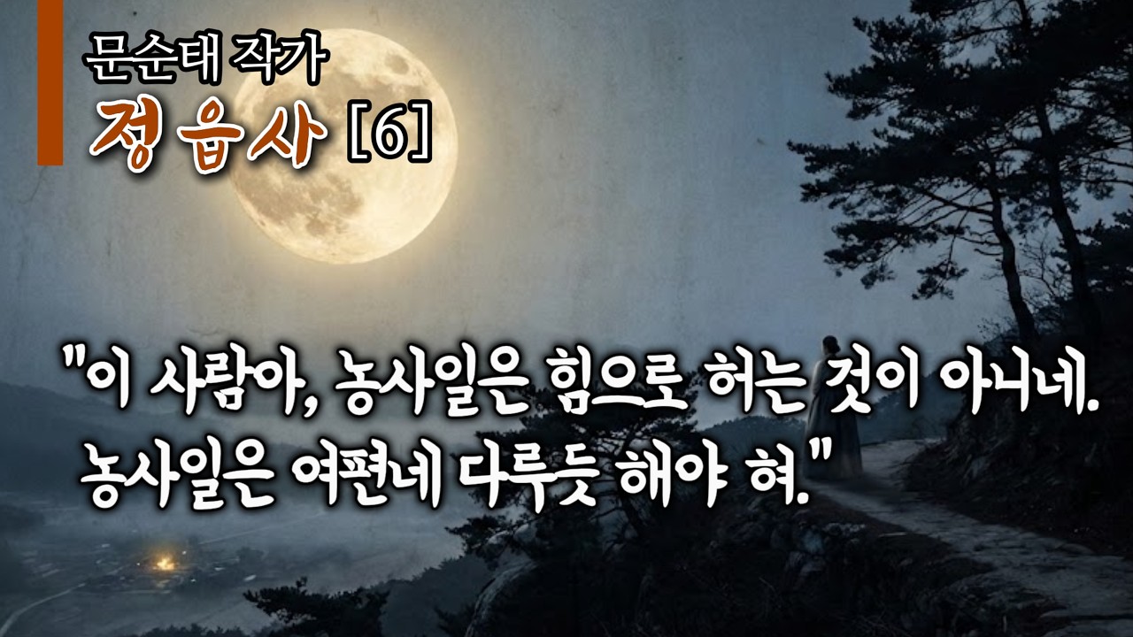 [소설 낭독]ㅣ문순태ㅣ정읍사 6편ㅣ“이 사람아, 농사일은 힘으로 허는 것이 아니네. 농사일은 여편네 다루듯 해야 혀.” ㅣ영심 책방ㅣKorean Audio Bookㅣ