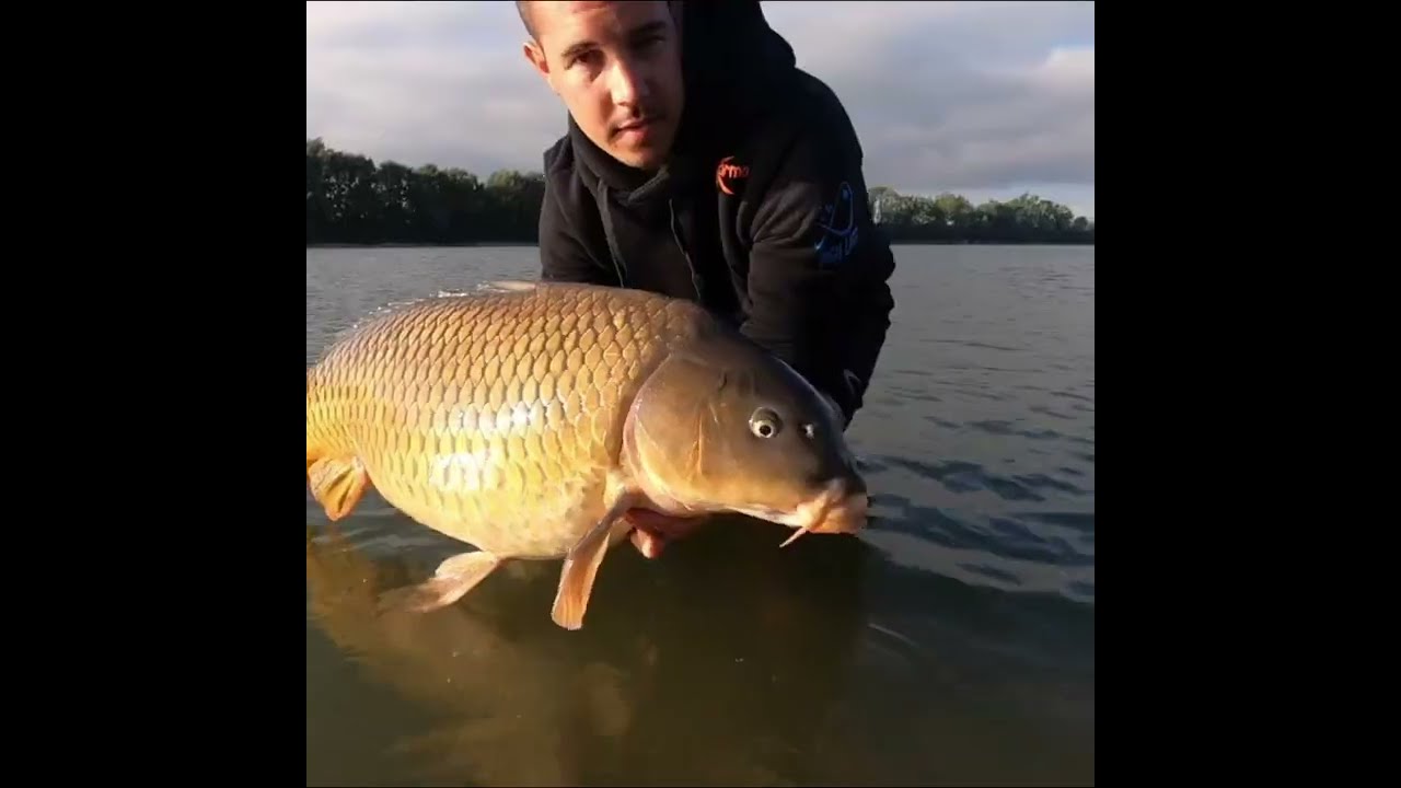 Karma Bait Slovakia