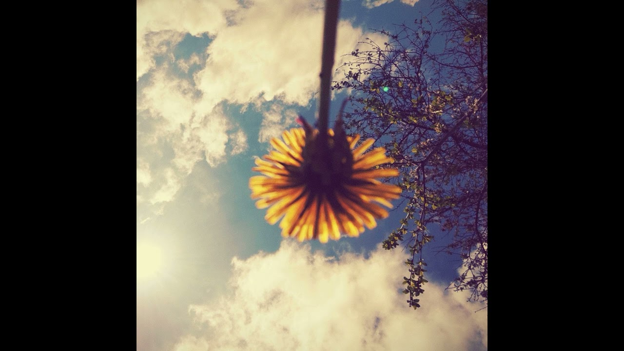 Sunbyonic - Feel so high (Byona Mix)