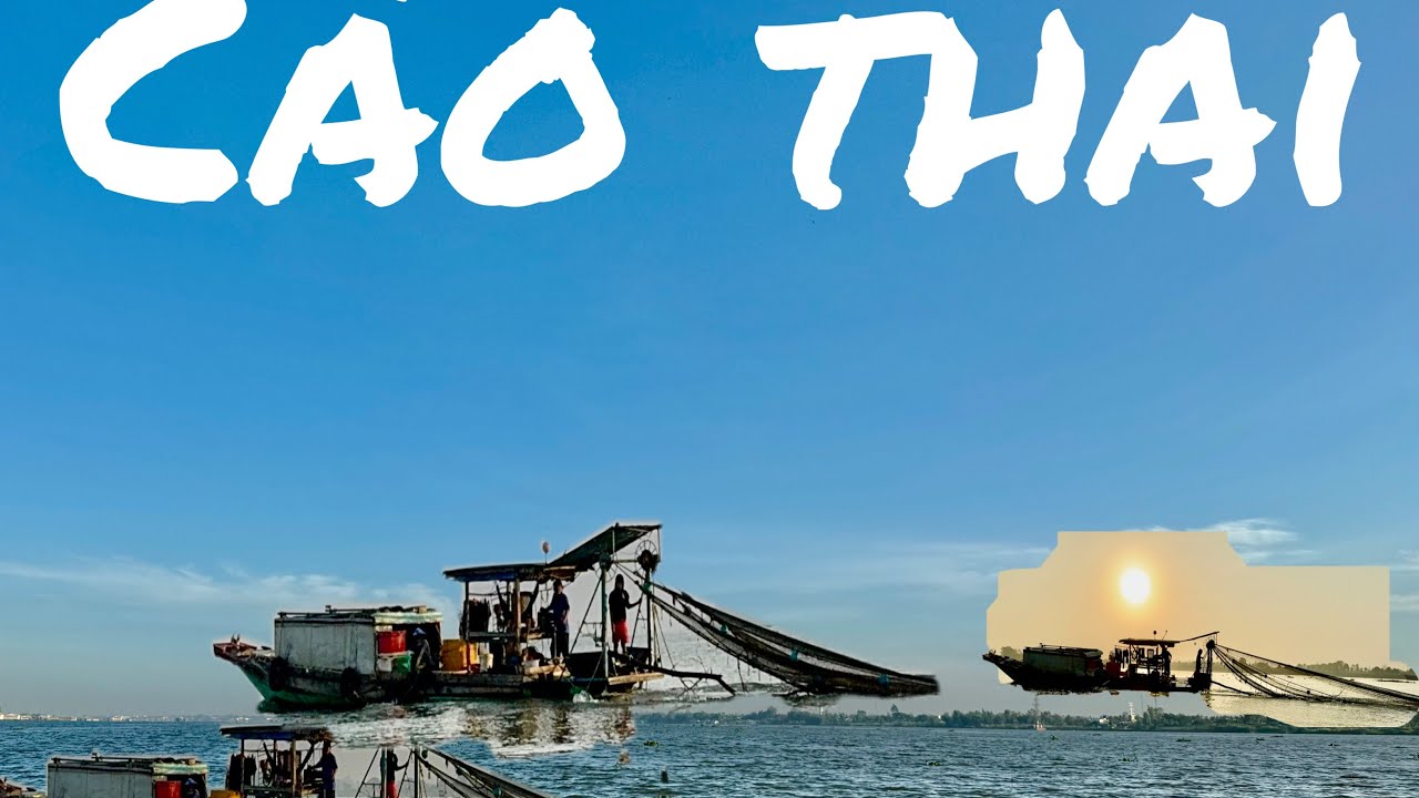 Mưu sinh : cào thái sông Mekong ! 2026 -