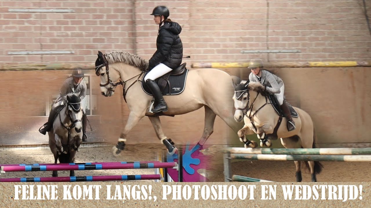 PHOTOSHOOT, WEDSTRIJD EN FELINE KOMT LANGS! |PaintedPony