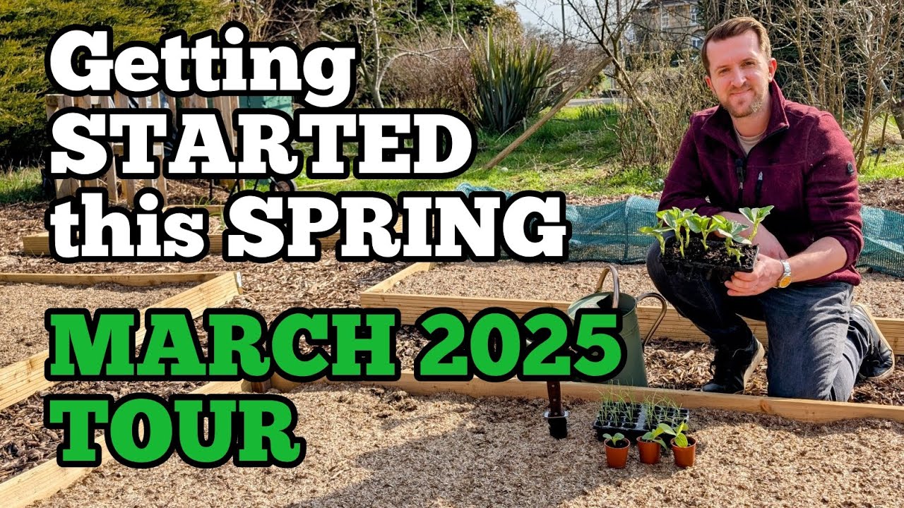 Sowing, pricking out and PLANTING! Beginning to fill up the Vegetable Garden and Allotment!