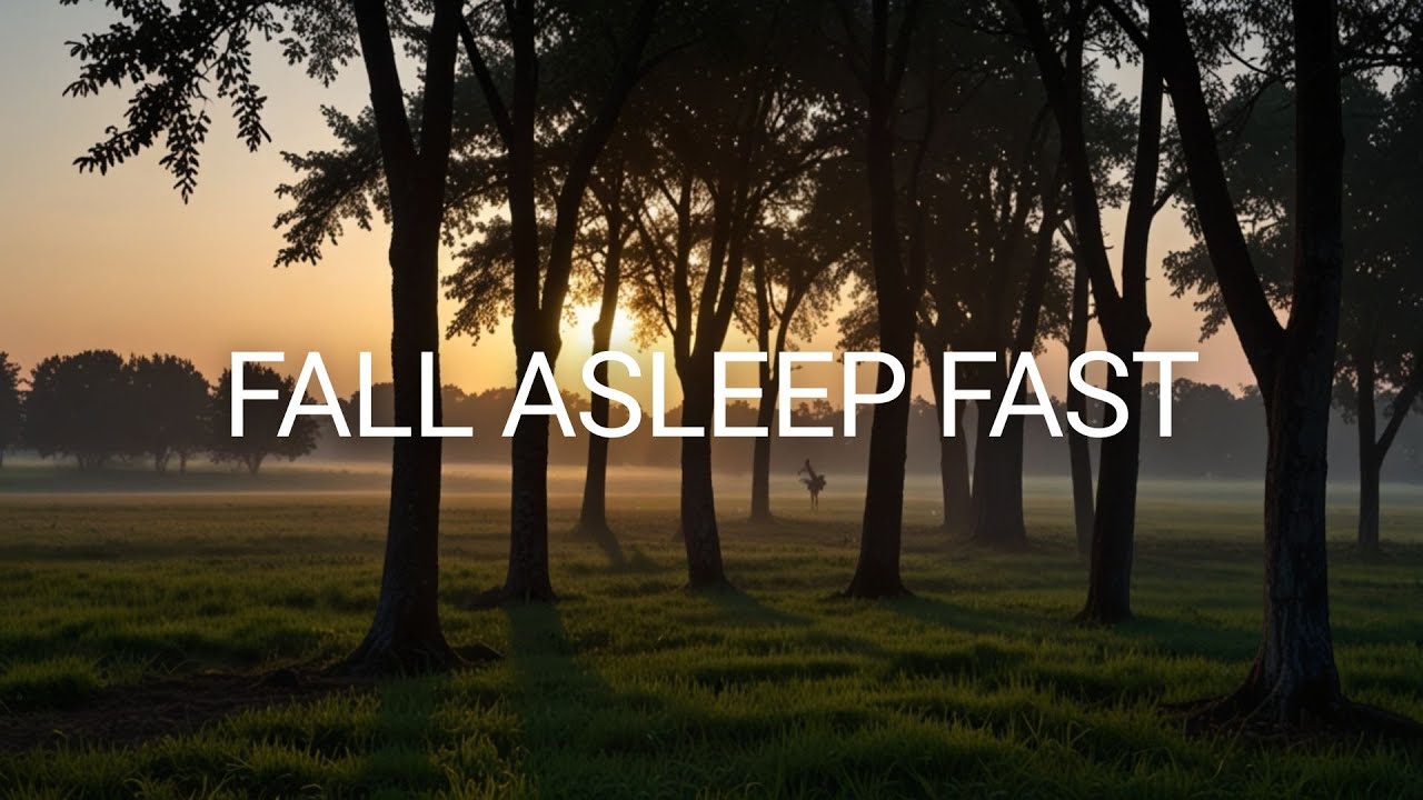 Serene Forest Dawn - Deep Sleep Atmosphere | Calmly Drift Away