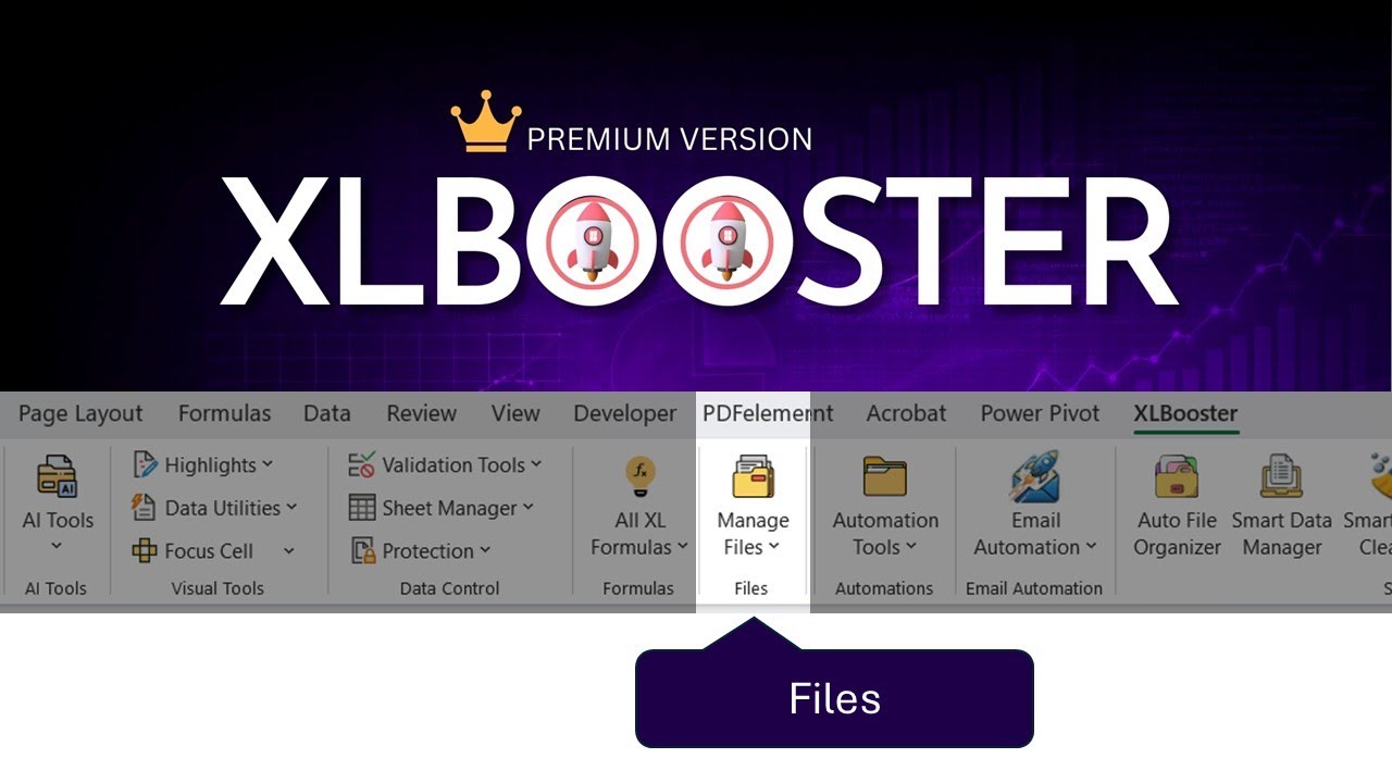 08 - How to Use 'Files (Manage Files)' Group in XLBooster?