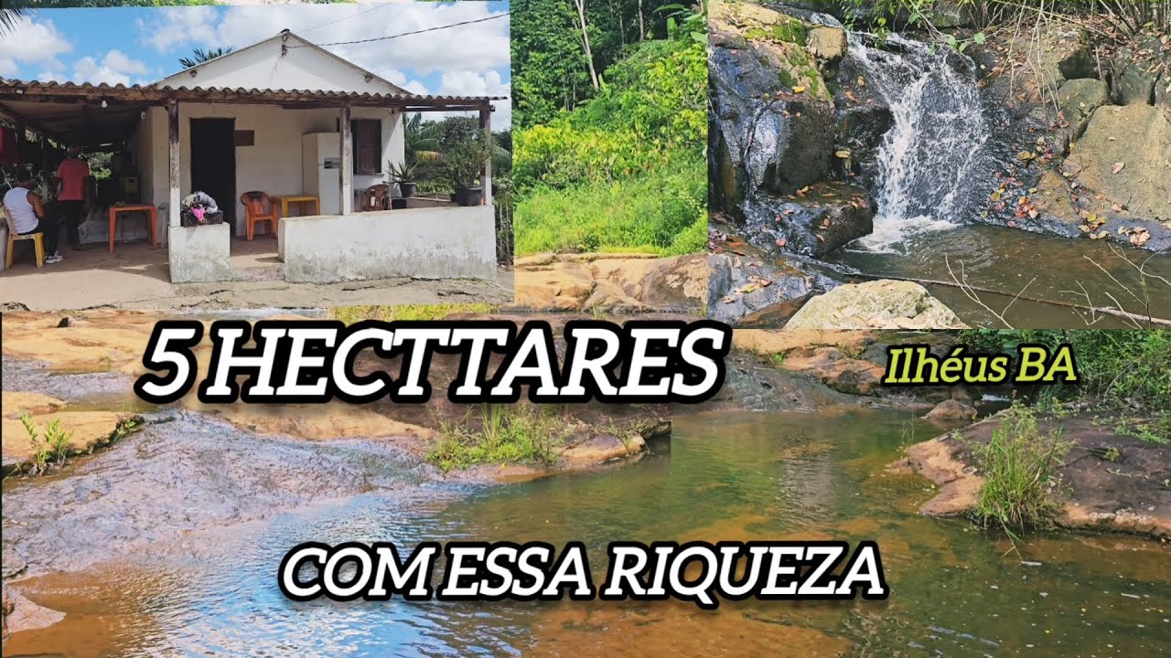 SÍTIO BEM LOCALIZADO EM ILHÉUS  COM RIO REPRESA CACAU E UMA VARIEDADE DE FRUTAS 350 MIL #avenda 