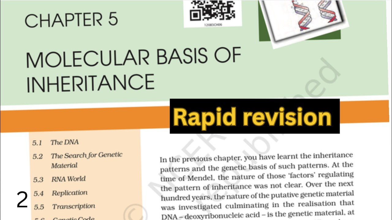 Molecular basis of inheritance one shot | Molecular basis of inheritance class 12 ncert line by line