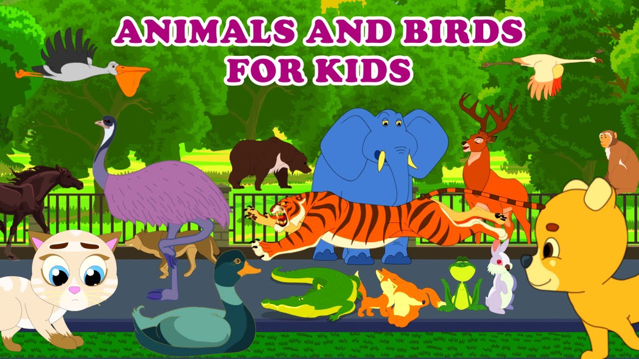 Can You Name All These Cute Animals?