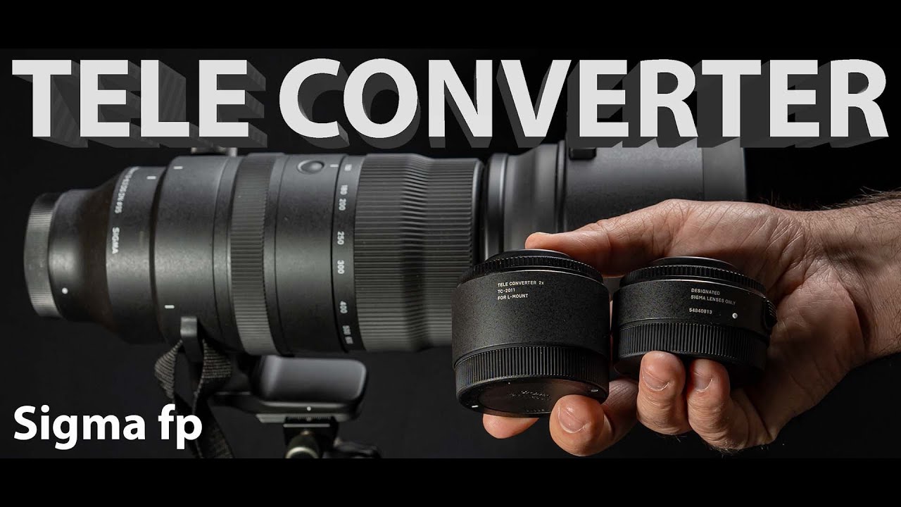 Применение теле конвертера Sigma TC-2011 для съёмки различных объектов. Луна, люди, птицы, цветы...
