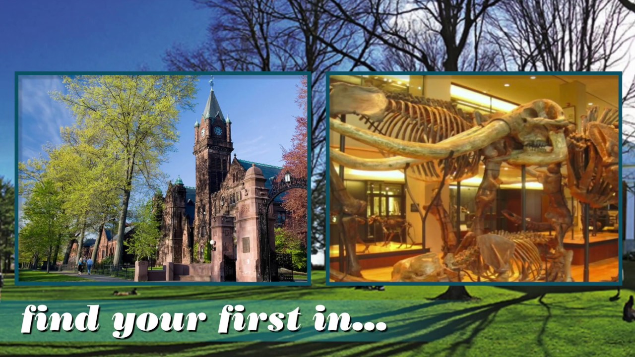 West Mass is new brand identity for Pioneer Valley tourism, business